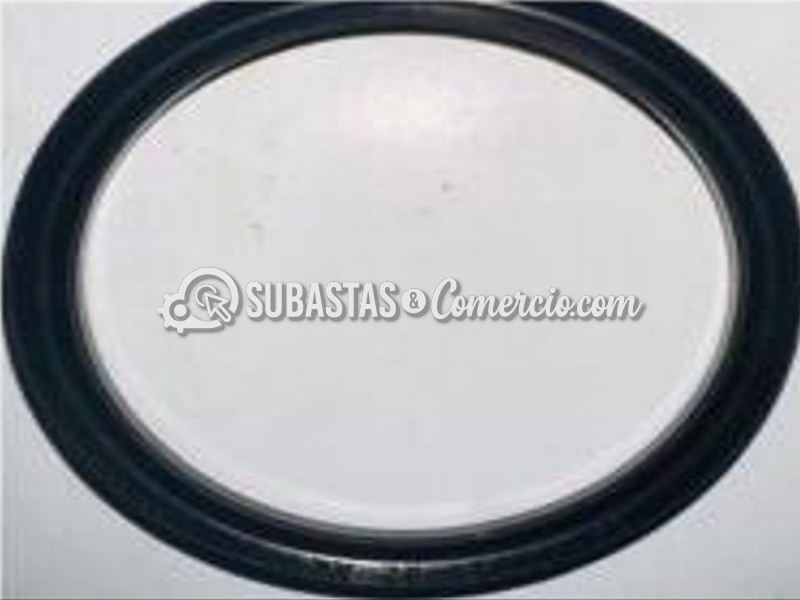 Captura de pantalla 2026-01-13 101525.jpg